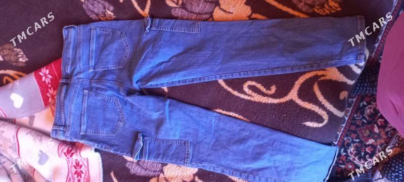 Jynsy calur - Daşoguz - img 3