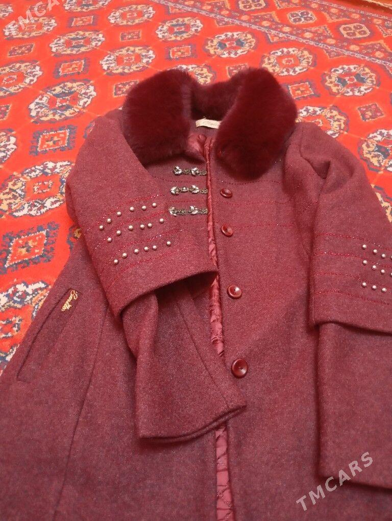 palto - Daşoguz - img 2