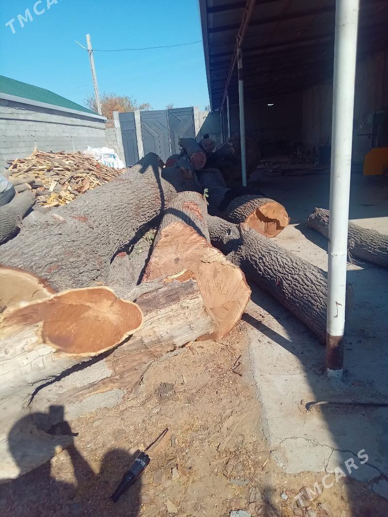 Dup agajy - Aşgabat - img 2