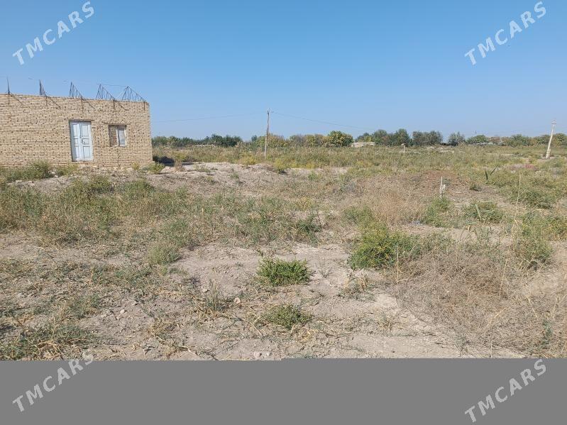 Mellek Ýer - Murgap - img 1