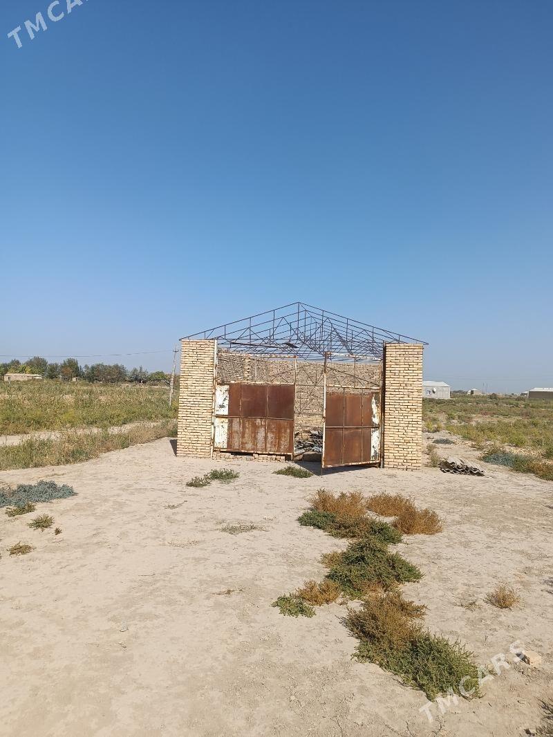 Mellek Ýer - Murgap - img 2