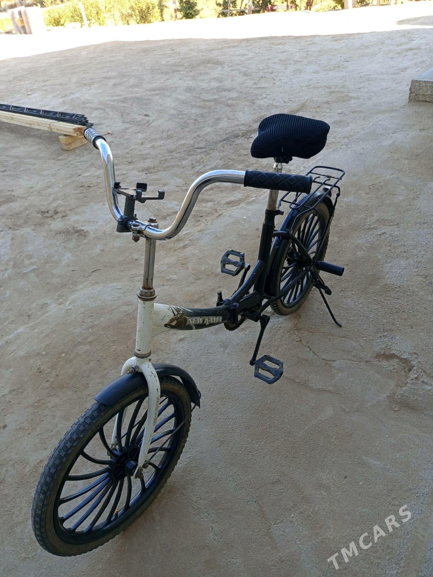 kama welsopet - Mary - img 6