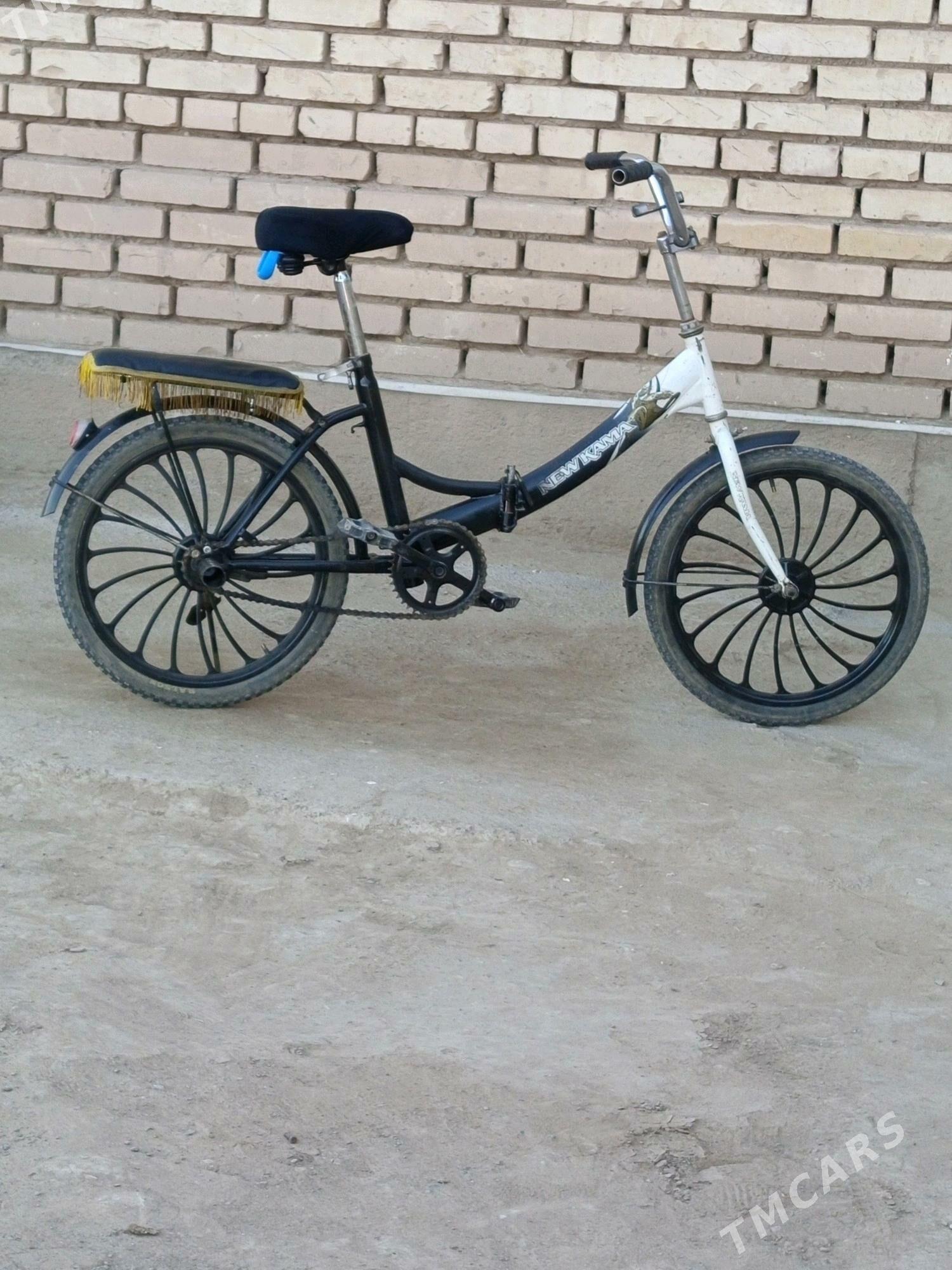 kama welsopet - Mary - img 3