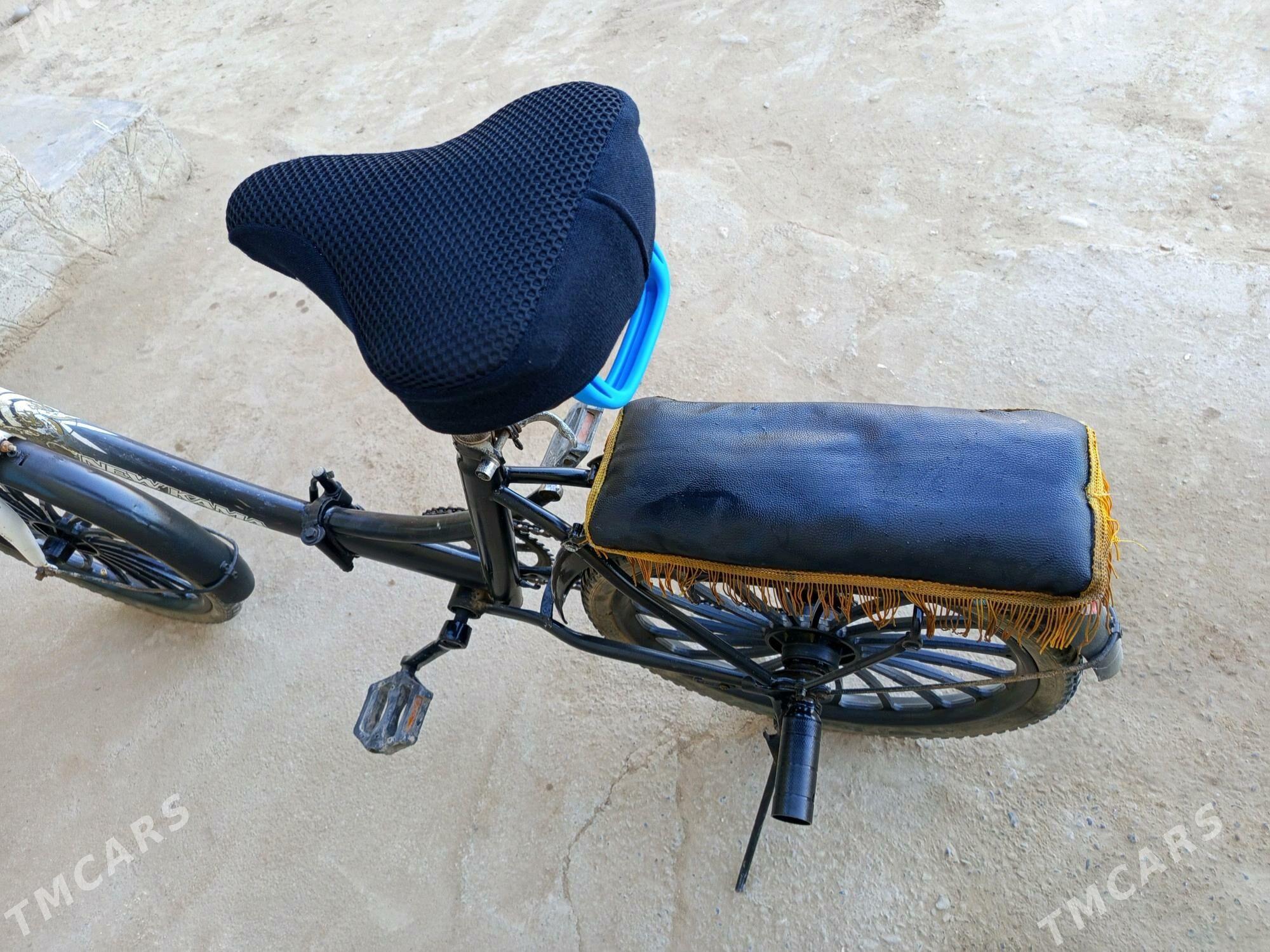 kama welsopet - Mary - img 9