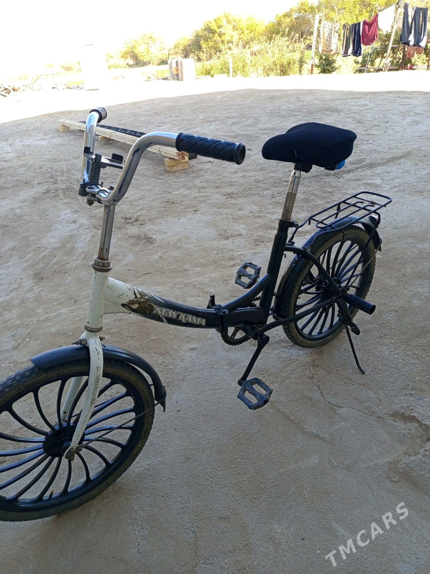 kama welsopet - Mary - img 8