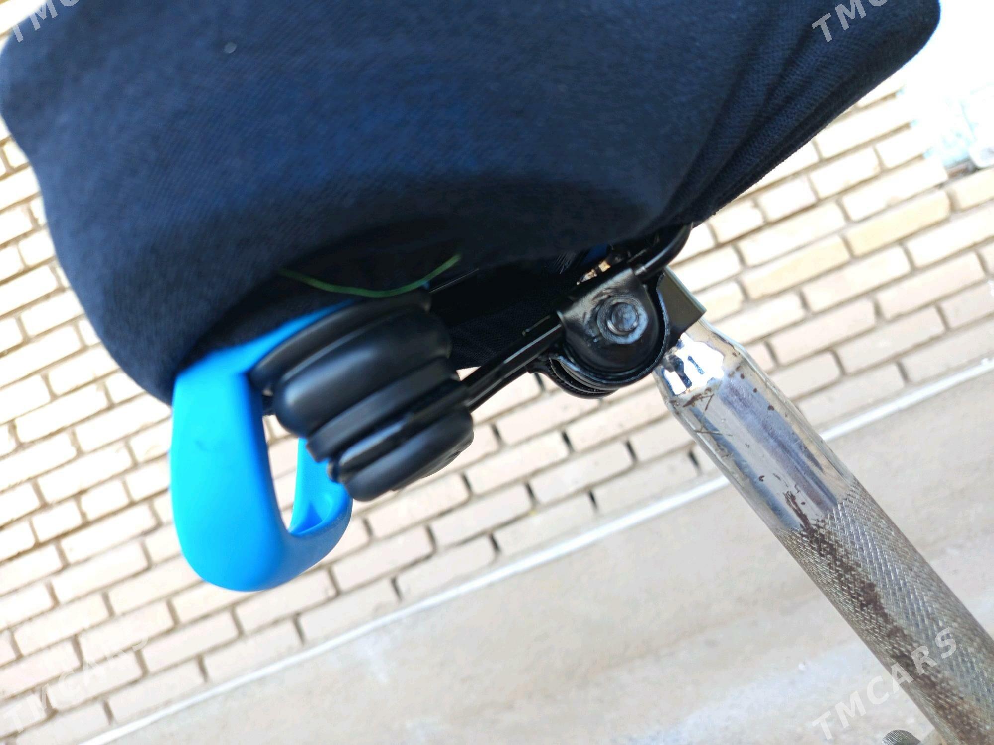 kama welsopet - Mary - img 5