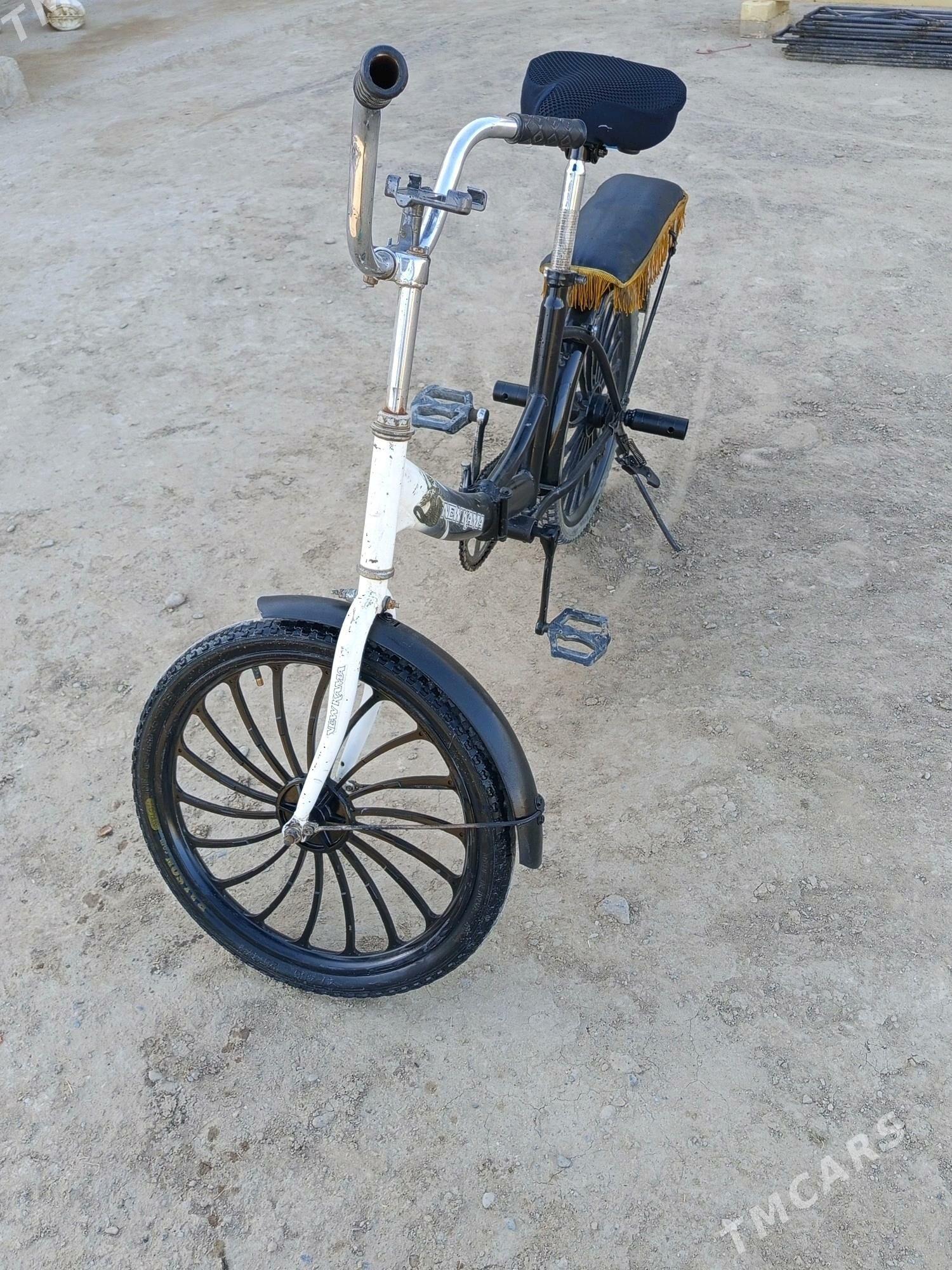 kama welsopet - Mary - img 4