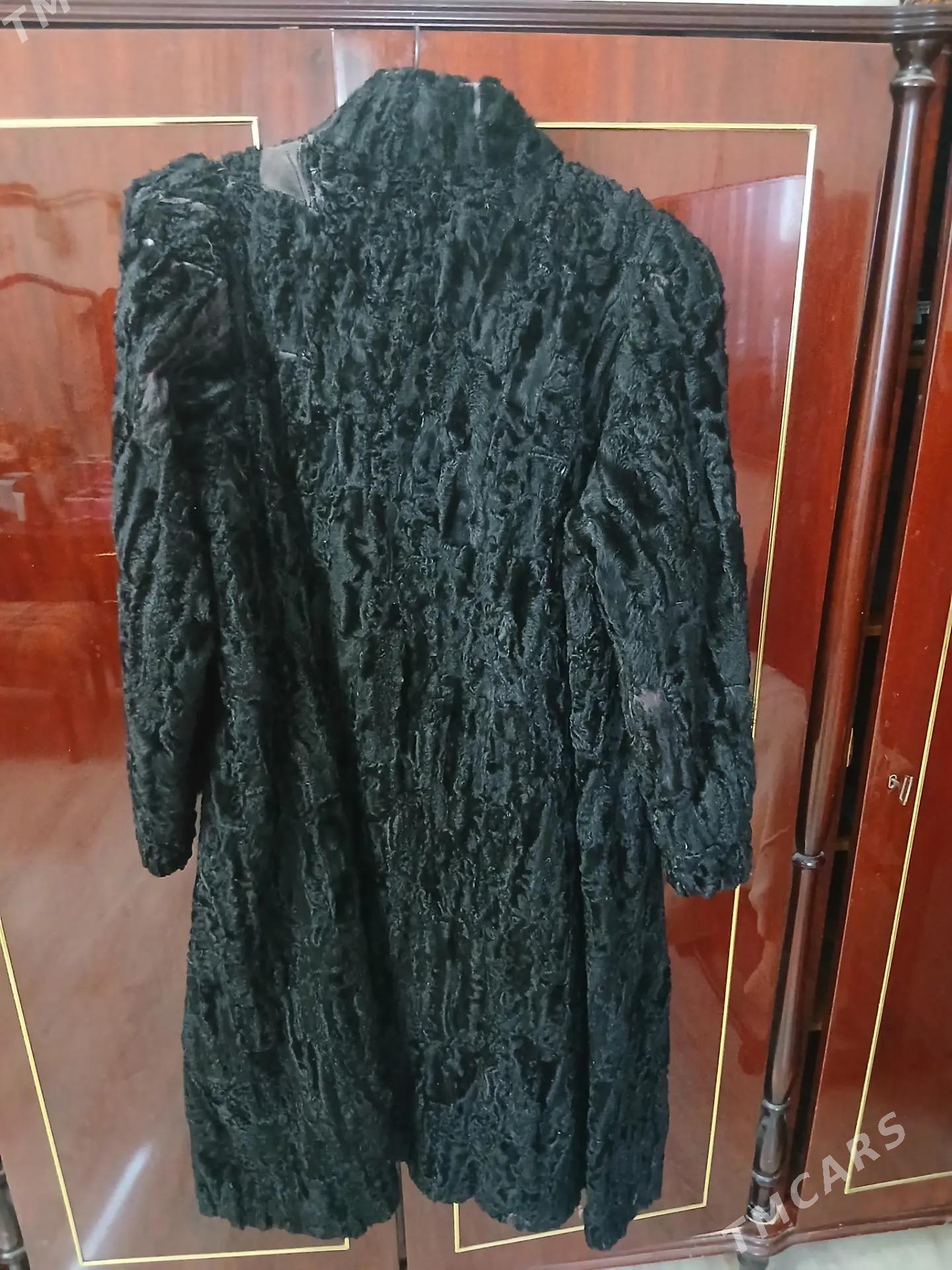 Шуба - Türkmenbaşy - img 2