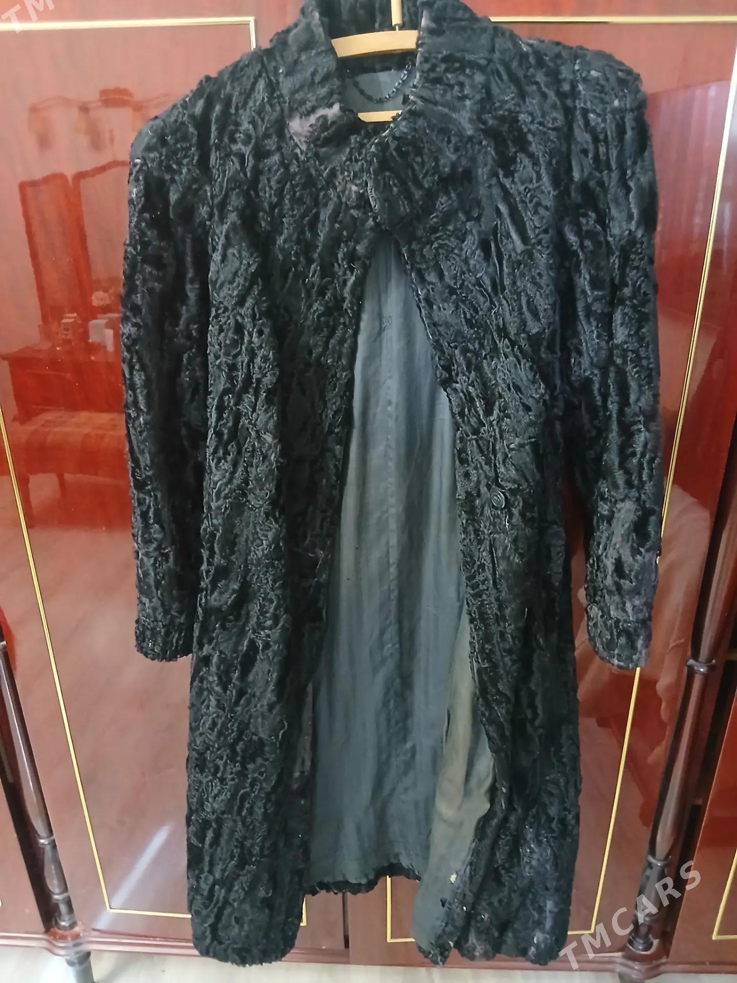 Шуба - Türkmenbaşy - img 1