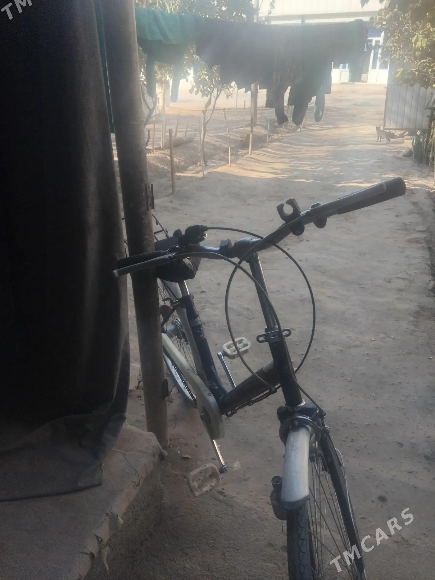 welosipet - Daşoguz - img 3