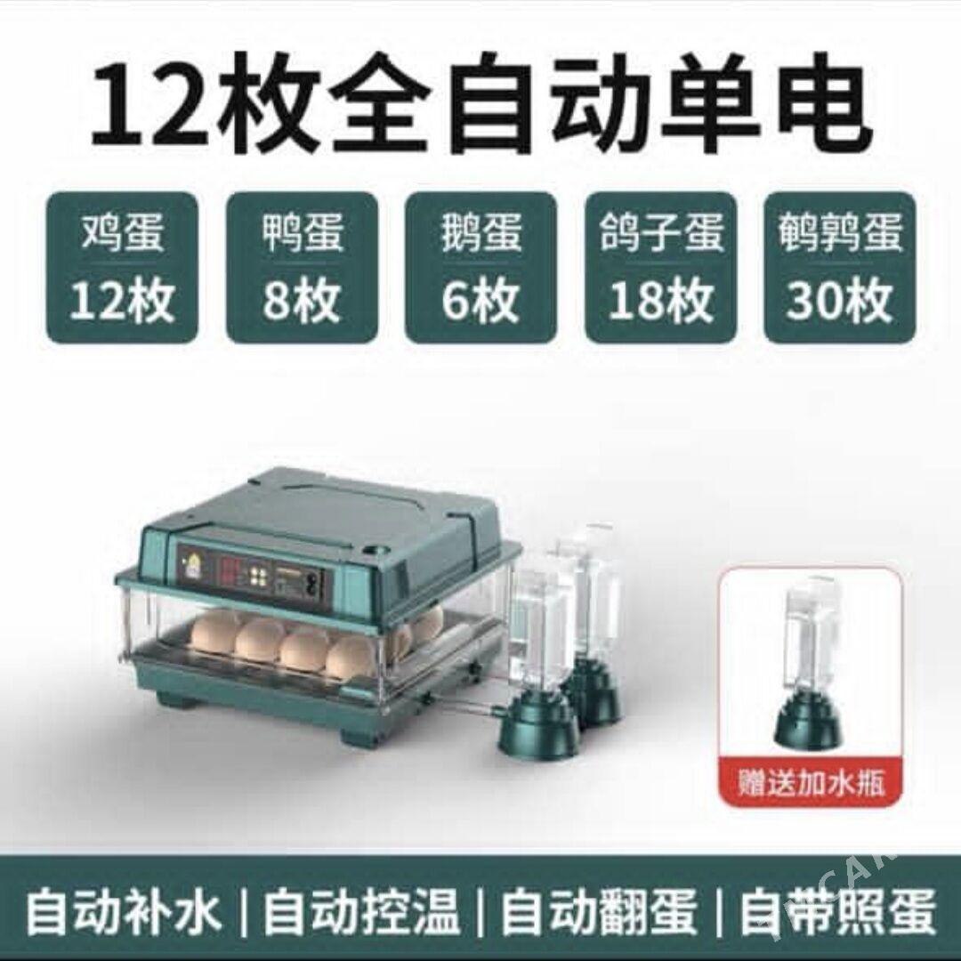 Inkubator - Гёкдепе - img 5