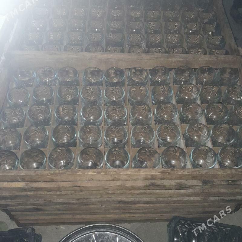 paddon - Herrikgala - img 3