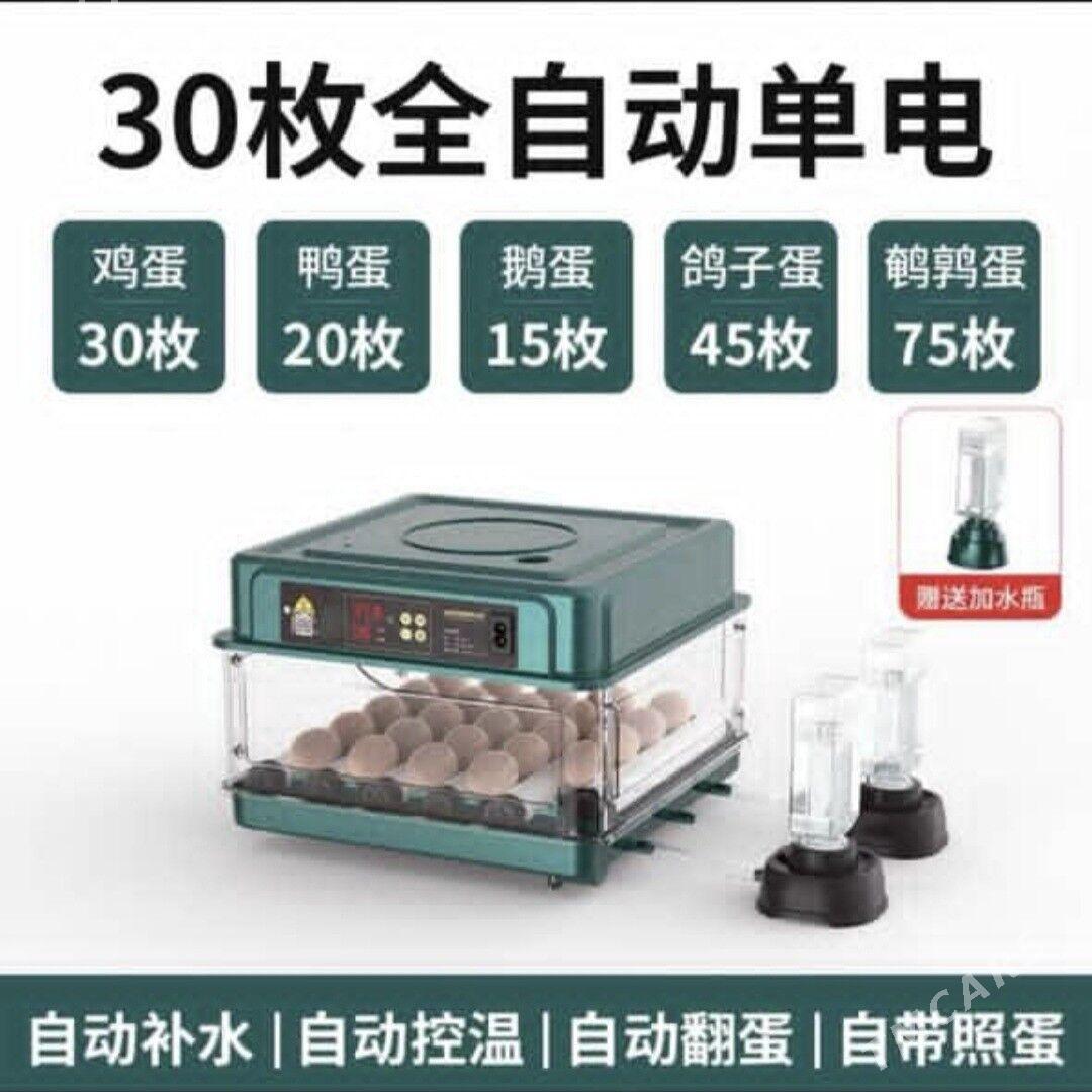 Inkubator - Гёкдепе - img 3