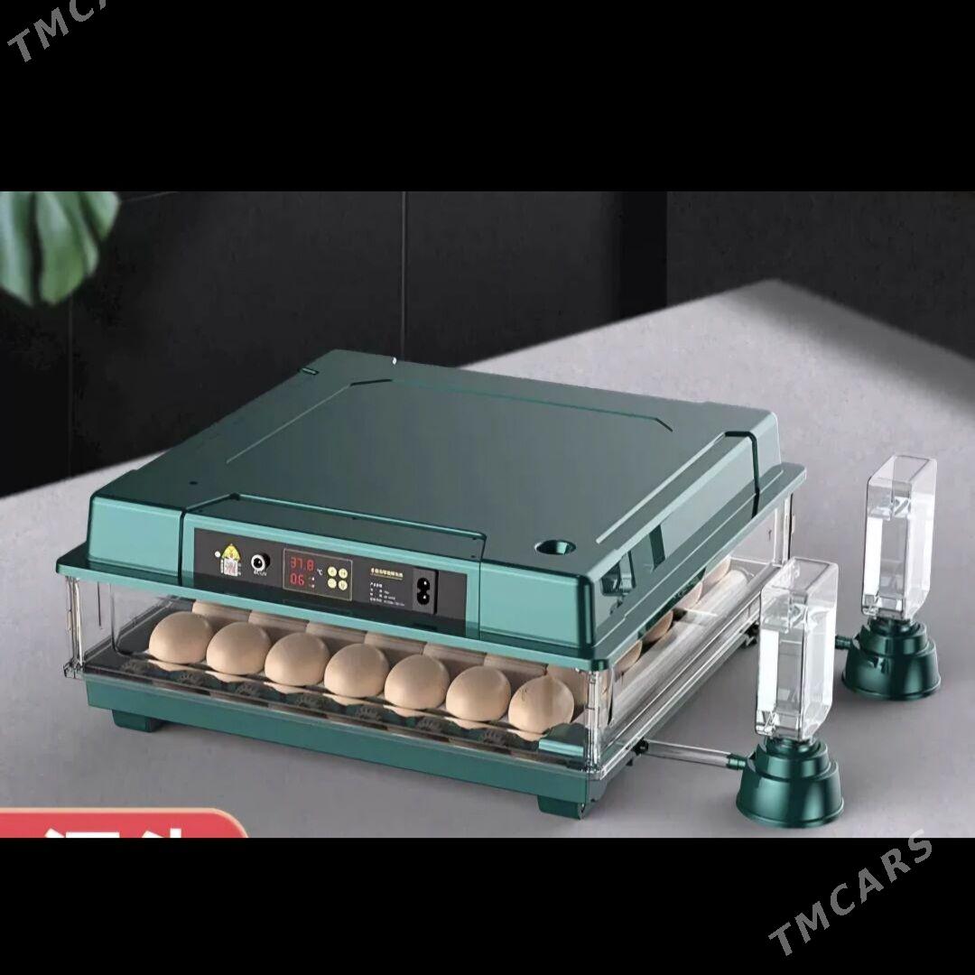 Inkubator - Гёкдепе - img 6