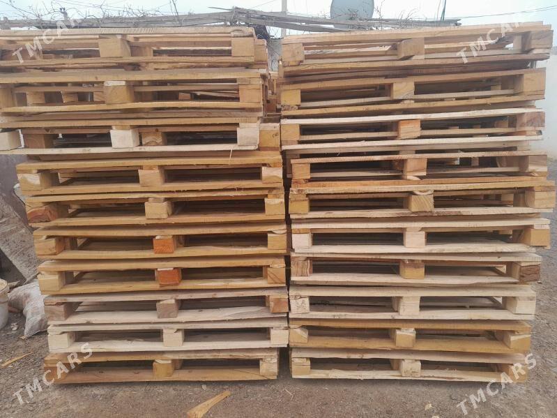 paddon - Herrikgala - img 7