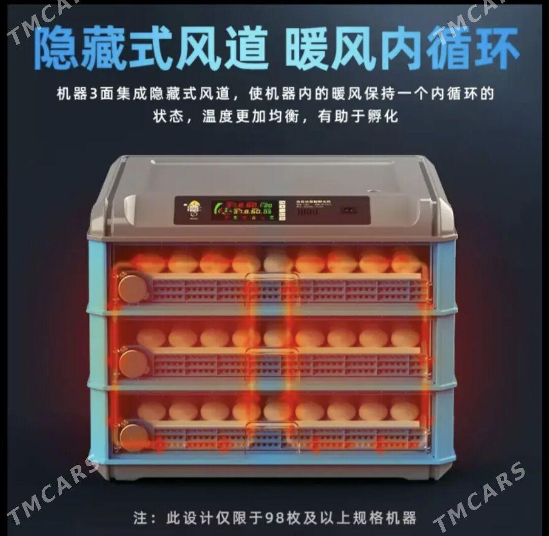 Inkubator - Гёкдепе - img 2