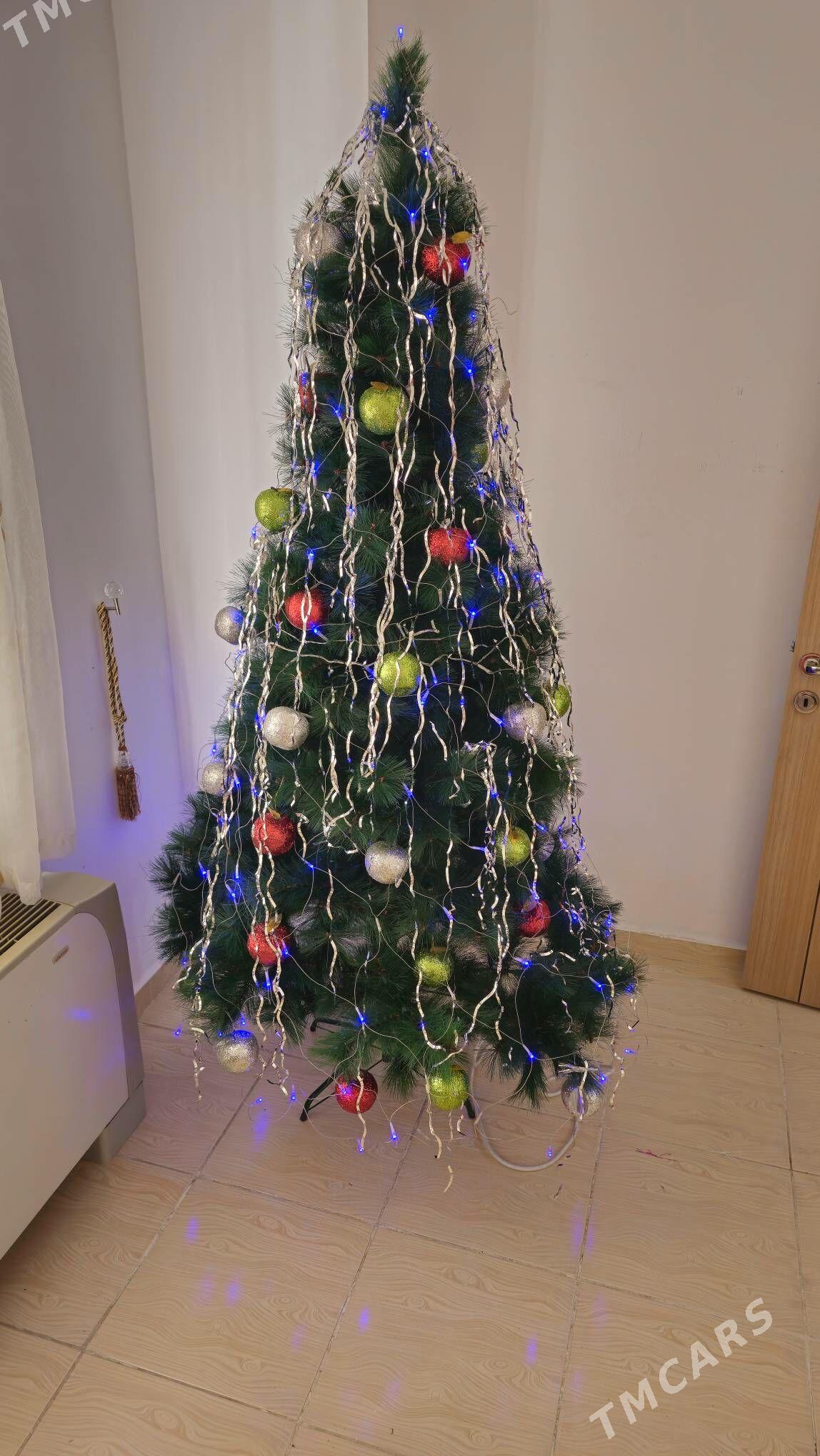 Елка Yolka - Aşgabat - img 4