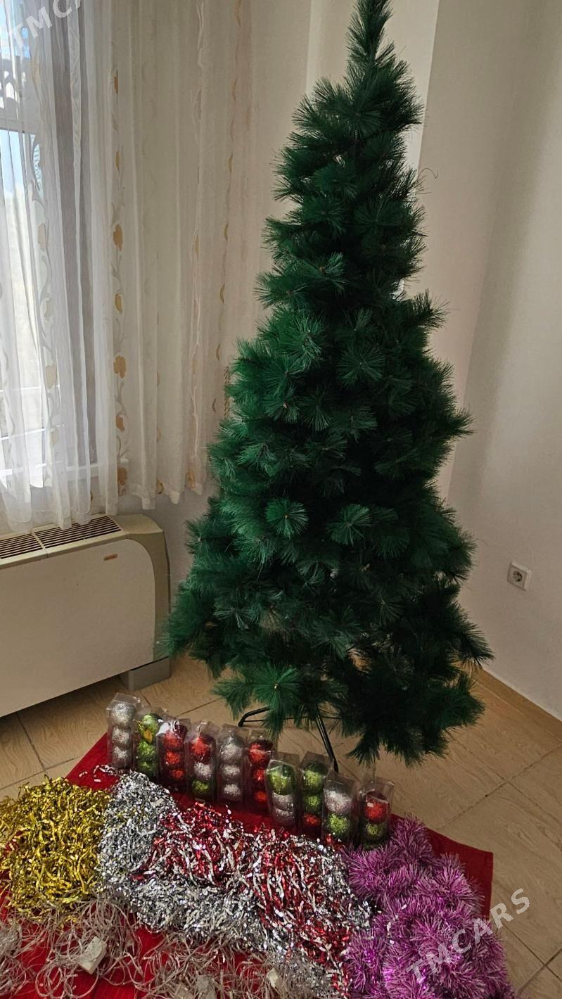 Елка Yolka - Aşgabat - img 1