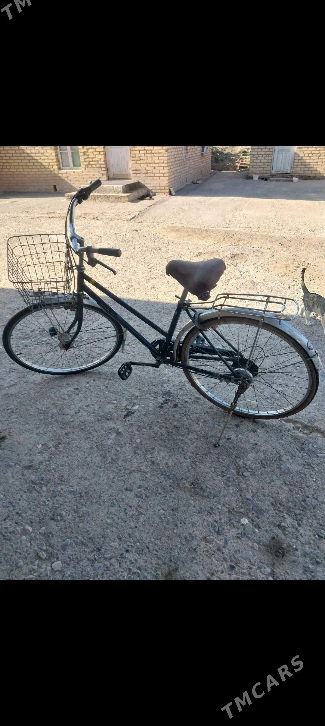 welik - Сакарчага - img 3