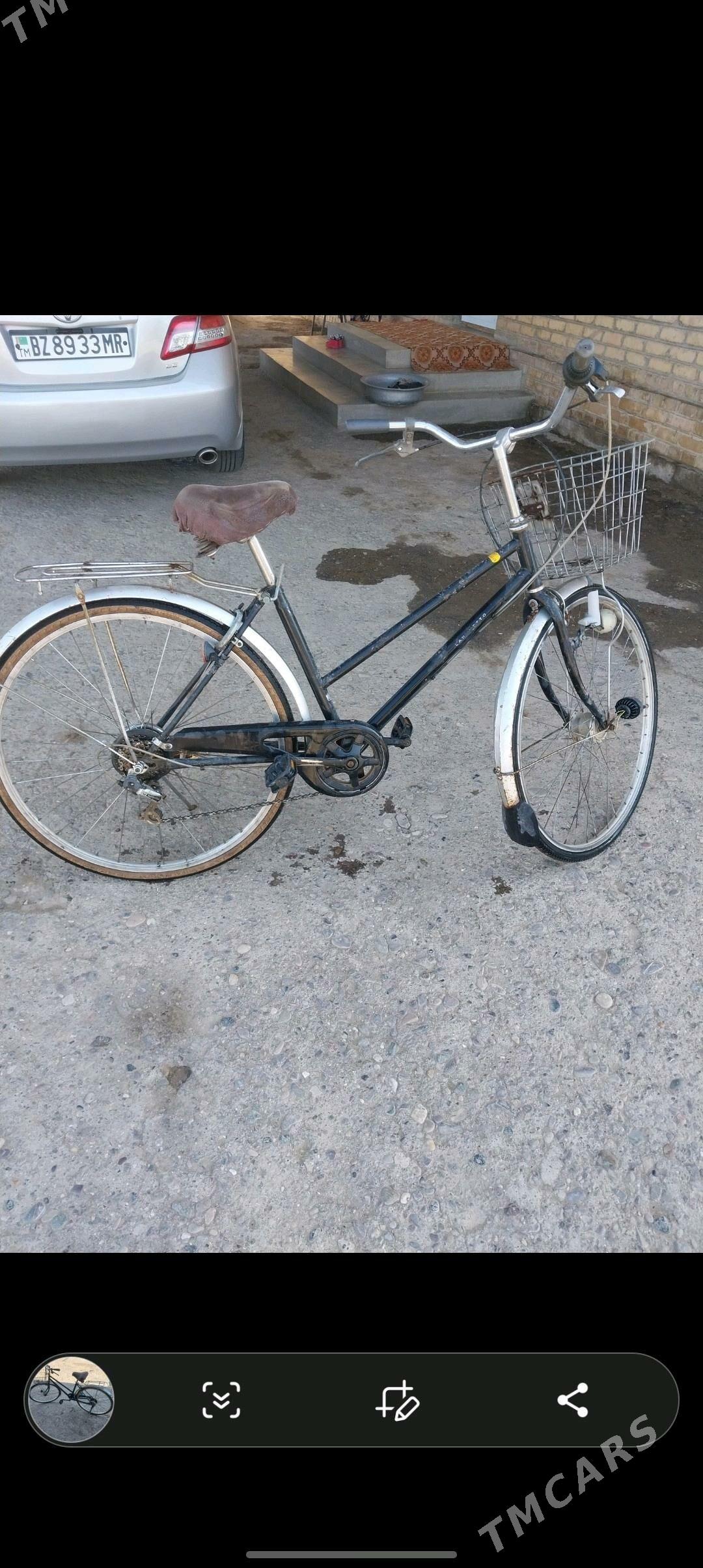 welik - Сакарчага - img 2