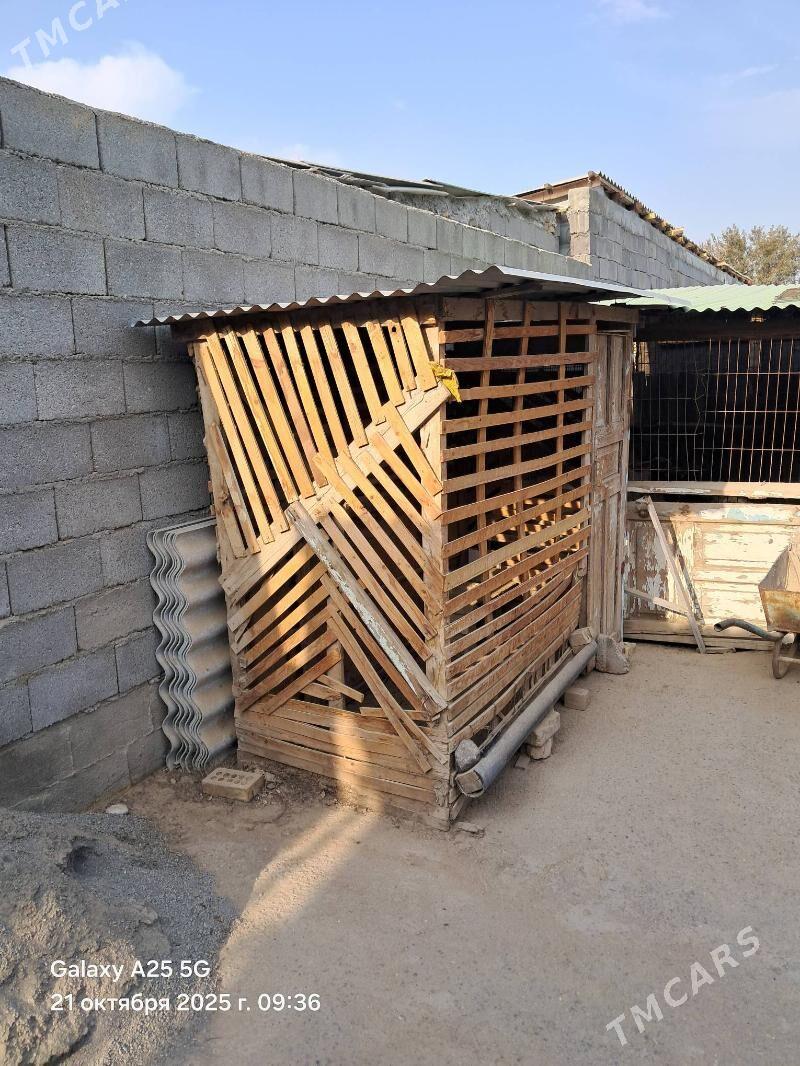 ketek - Ашхабад - img 2