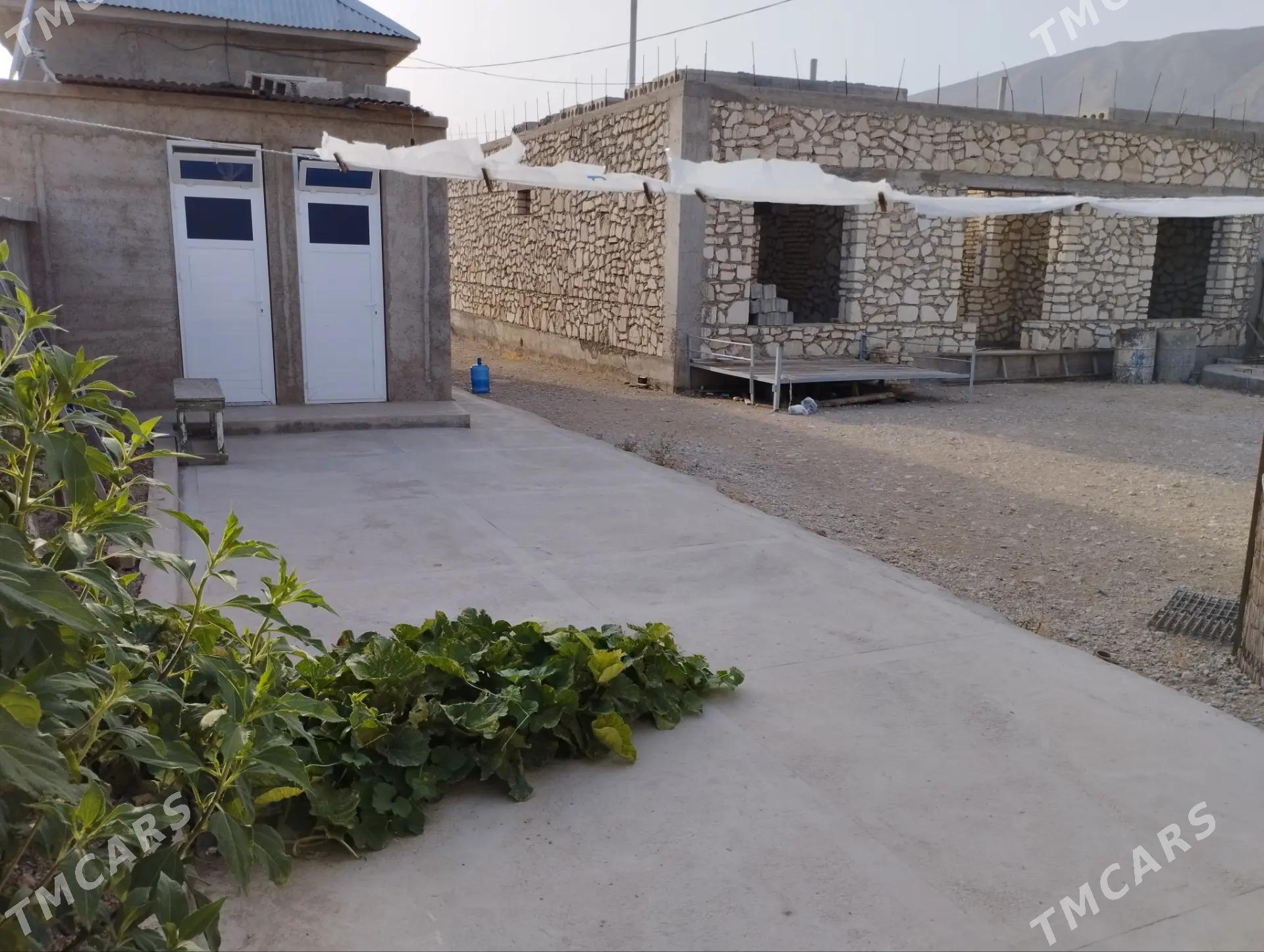 Дюзмерген. Dúzmergen. - Balkanabat - img 4