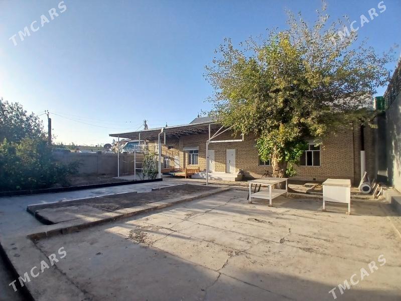 Satlyk howly jaý - Мары - img 7