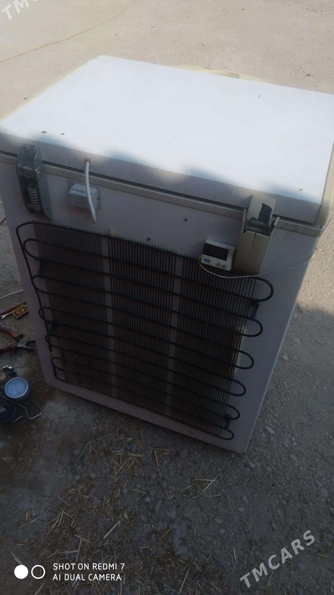 marazilnik - Jebel - img 2