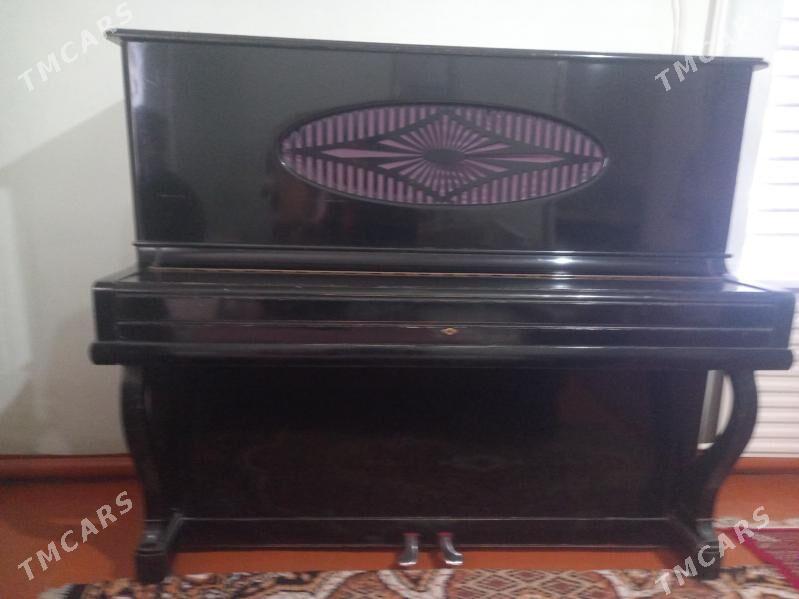 pianino - Ýolöten - img 3