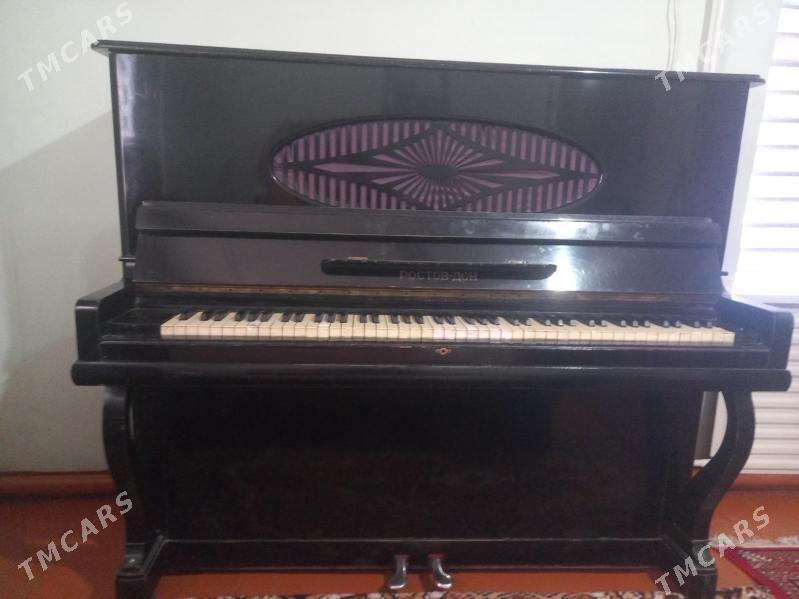 pianino - Ýolöten - img 2