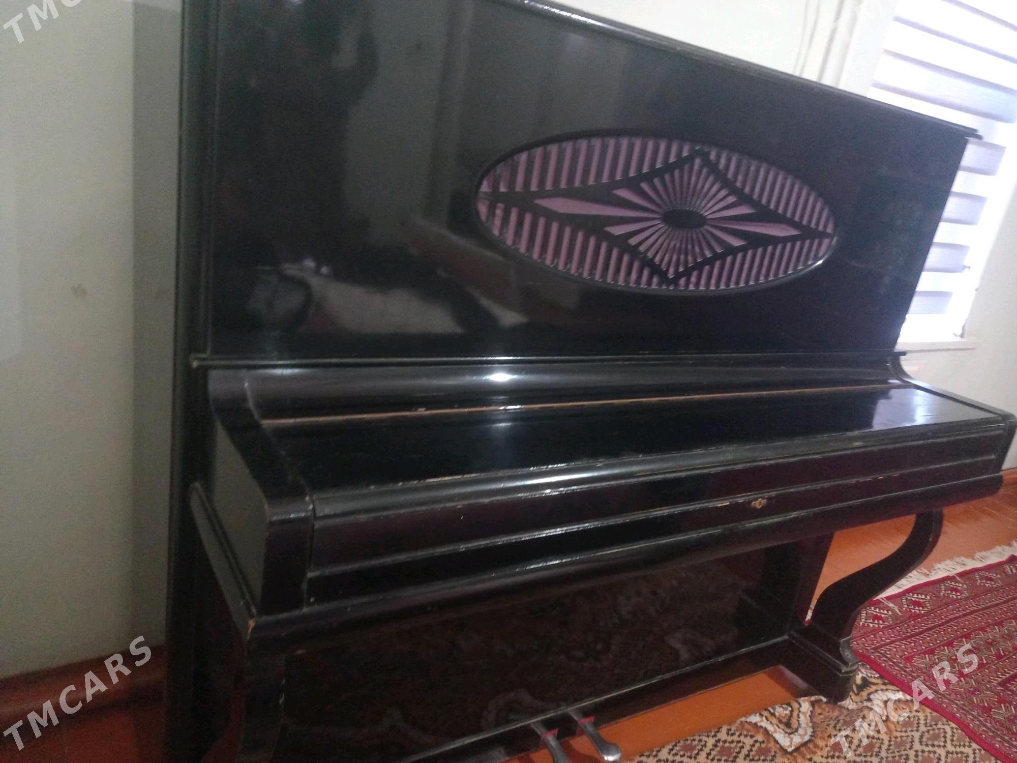 pianino - Ýolöten - img 4