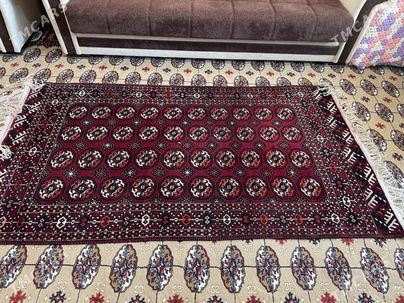 el haly - Мир 2 - img 1