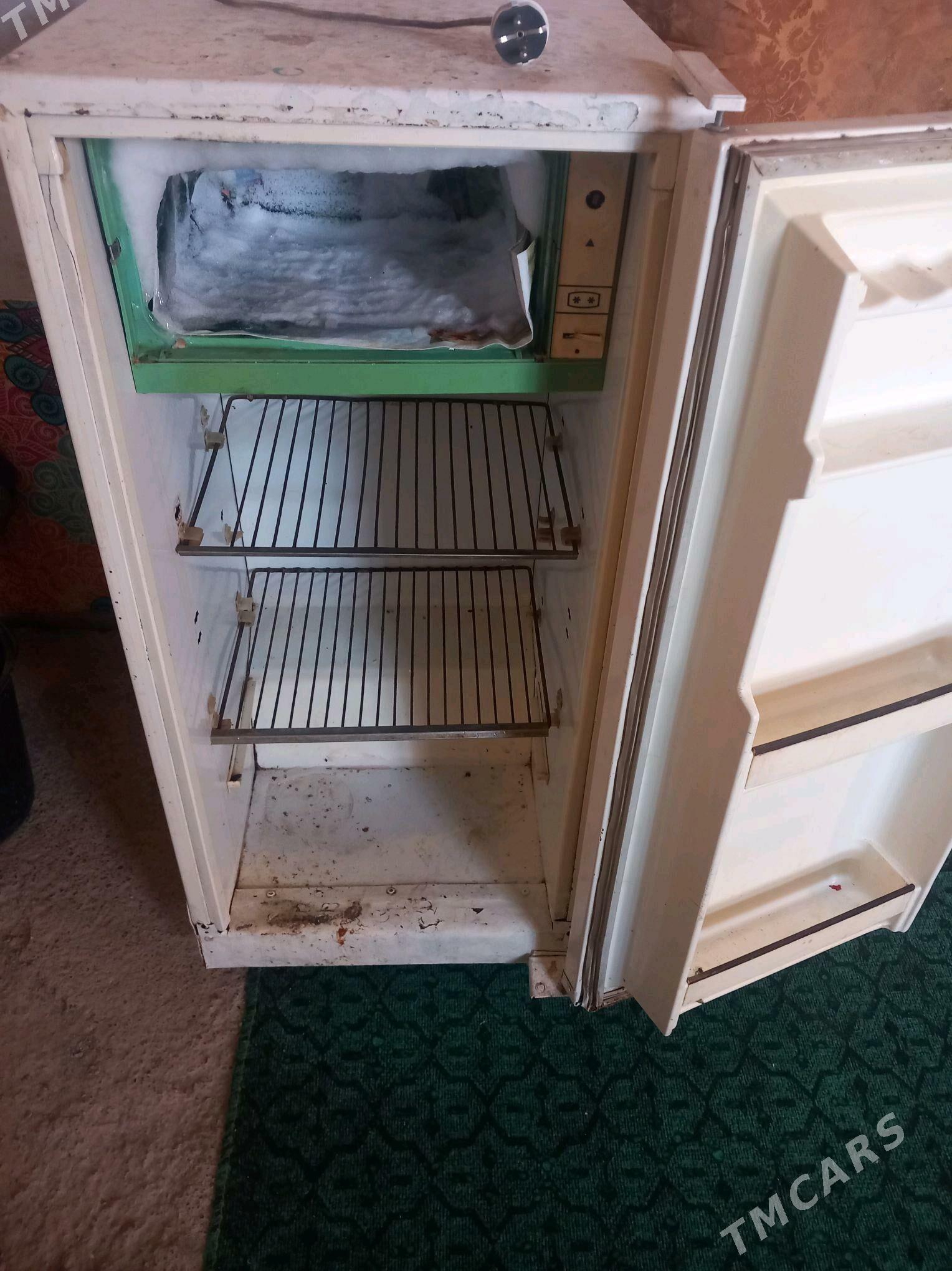 haladelnik - Boldumsaz - img 2