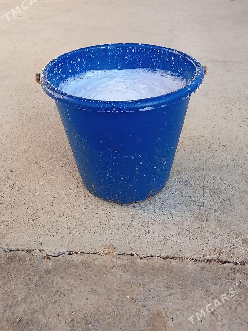 gòle sygyr - Kaka - img 6