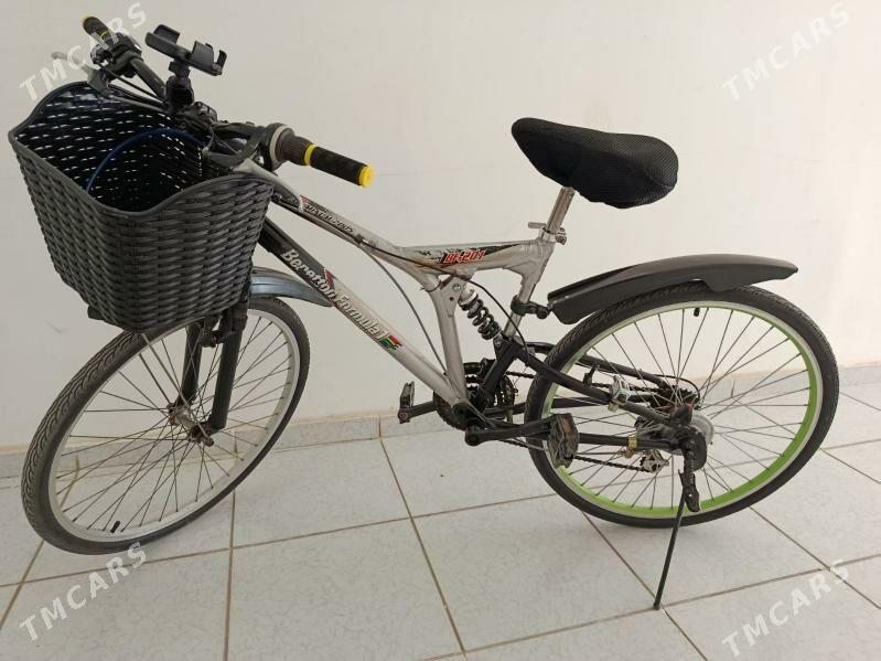 welosiped, tigir, велосипед - Mary - img 1