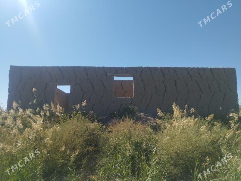 jay - Köneürgenç - img 3