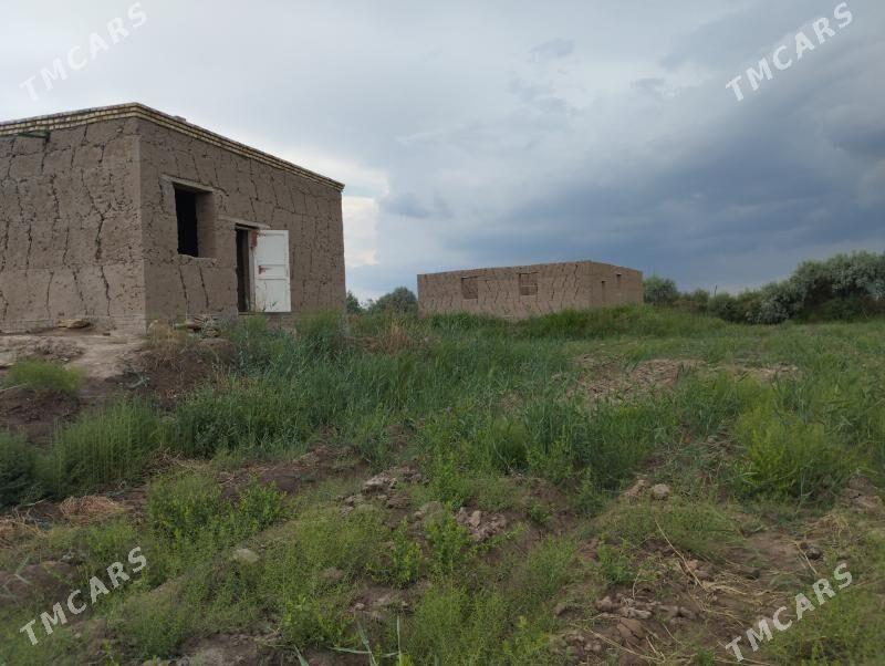 jay - Köneürgenç - img 4