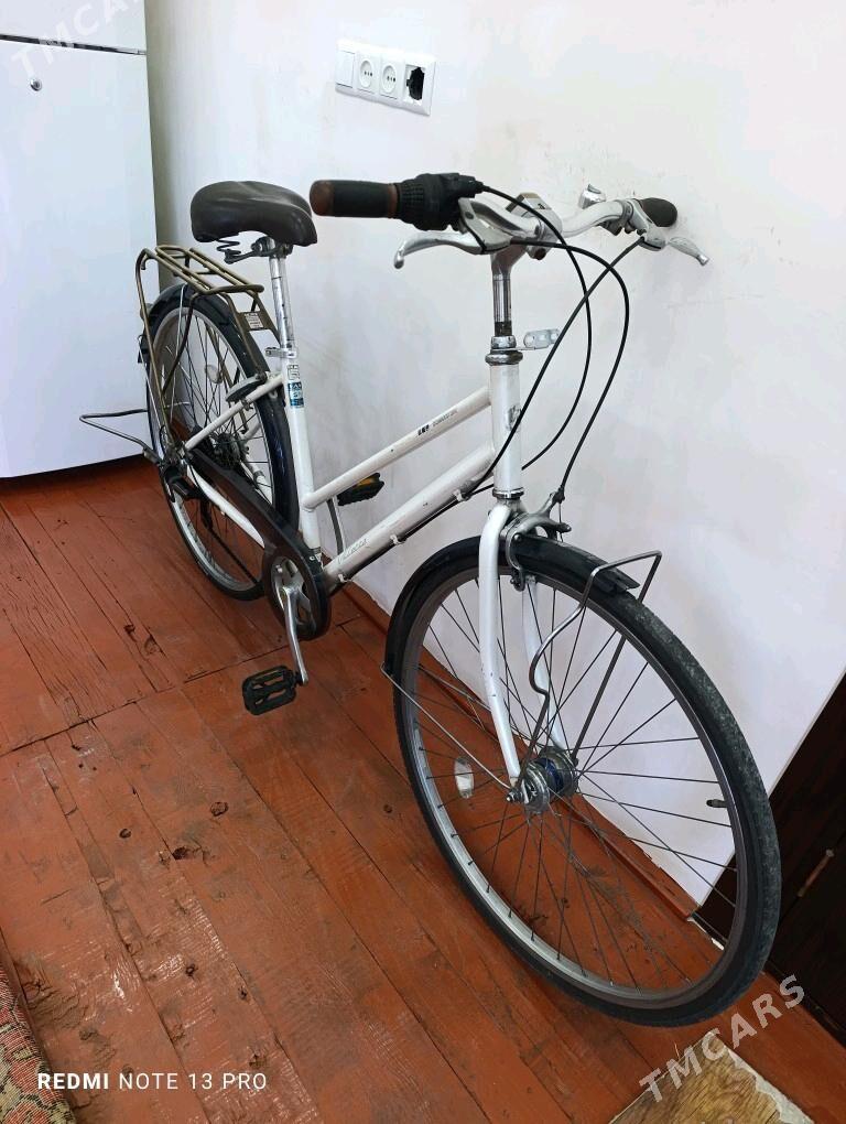 BRIJISTON Japan velik - Мары - img 8