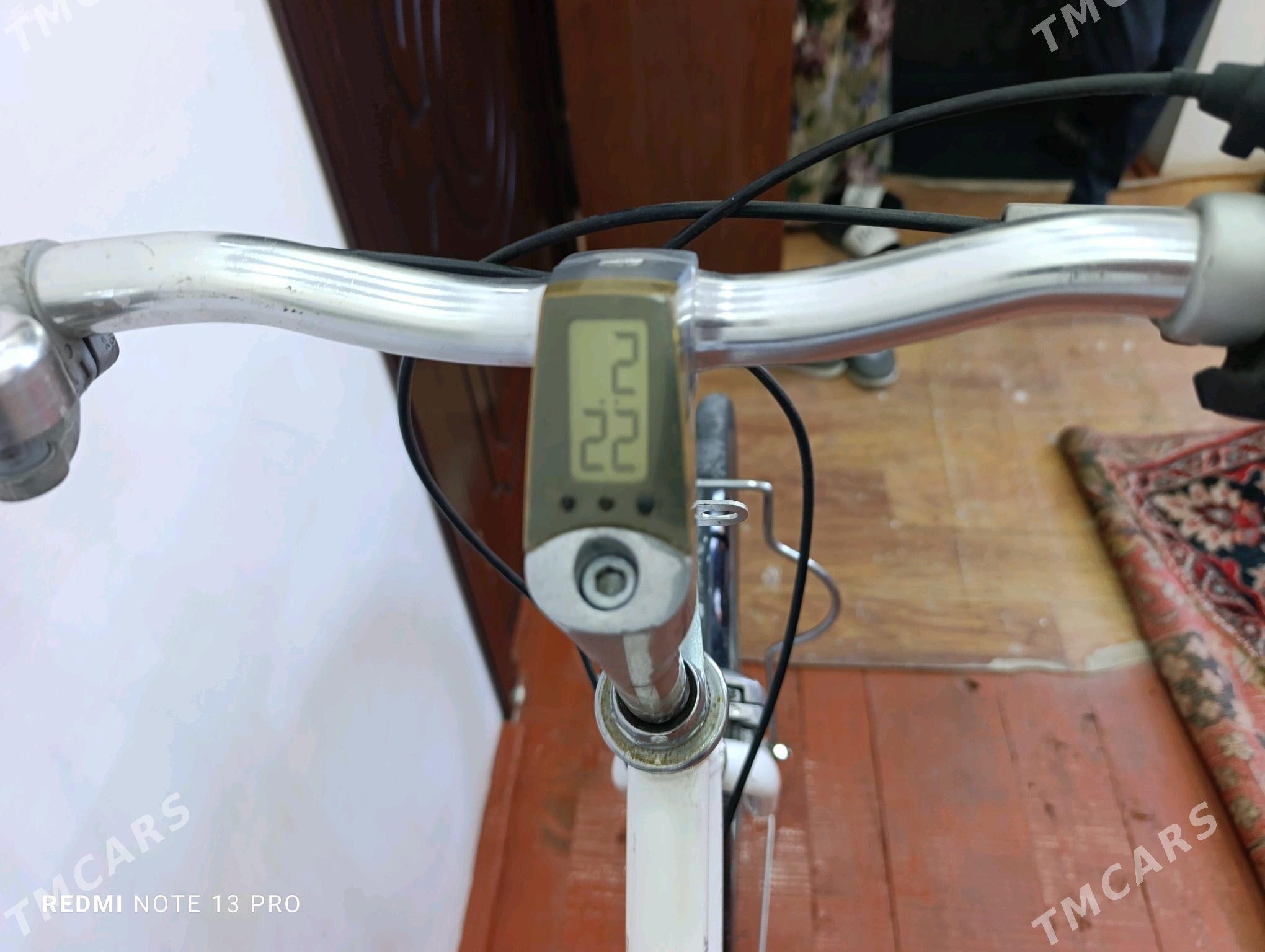 BRIJISTON Japan velik - Мары - img 7