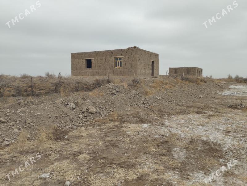 jay - Köneürgenç - img 5