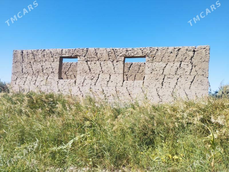 jay - Köneürgenç - img 2