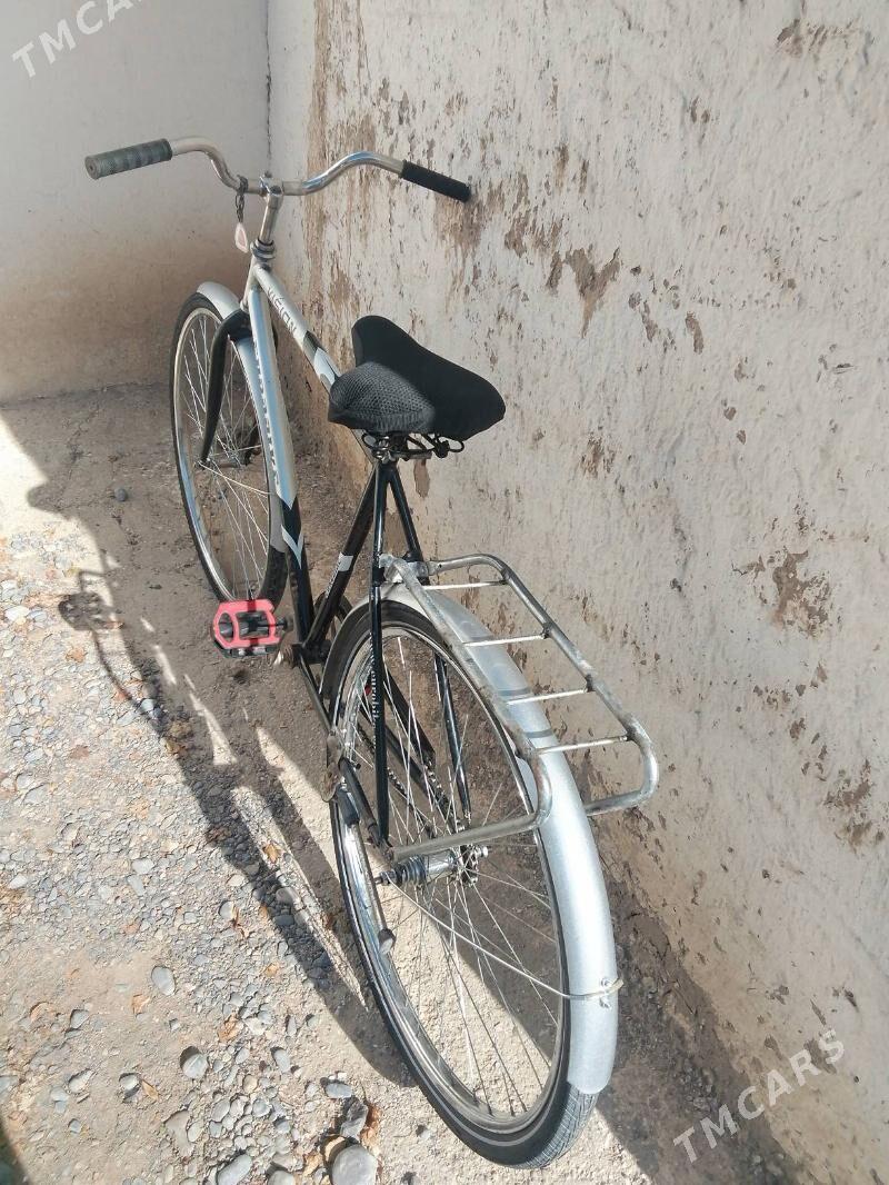 satlyk tigir - Kaka - img 2