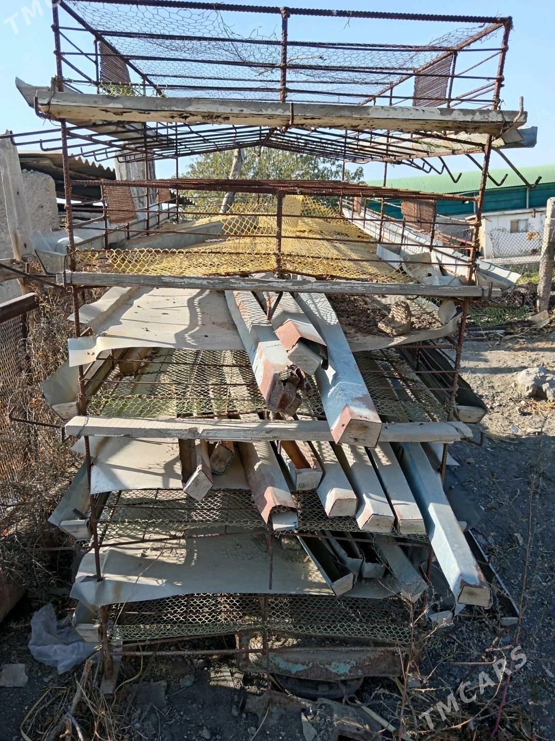 Bedene ketek - Ak bugdaý etraby - img 3