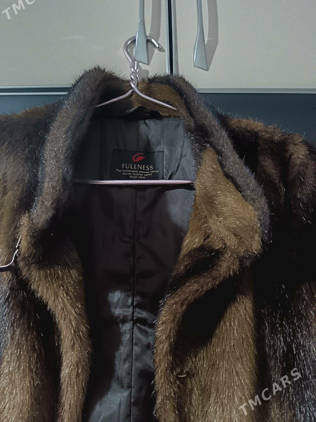 Shuba - Балканабат - img 2