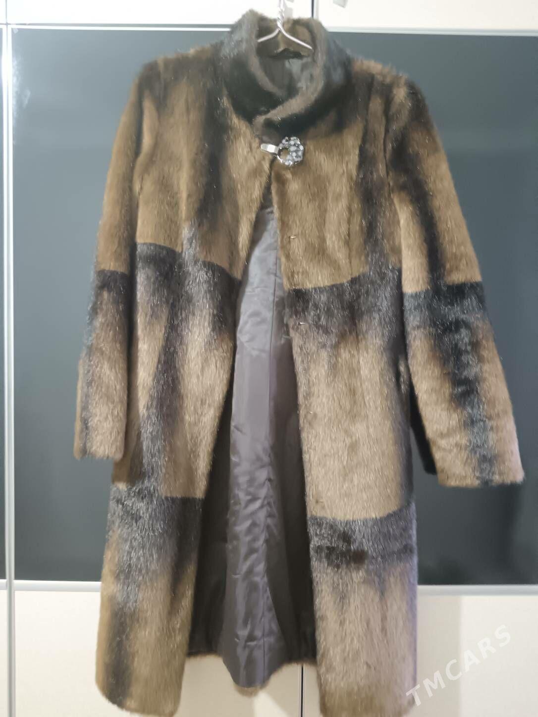 Shuba - Балканабат - img 3