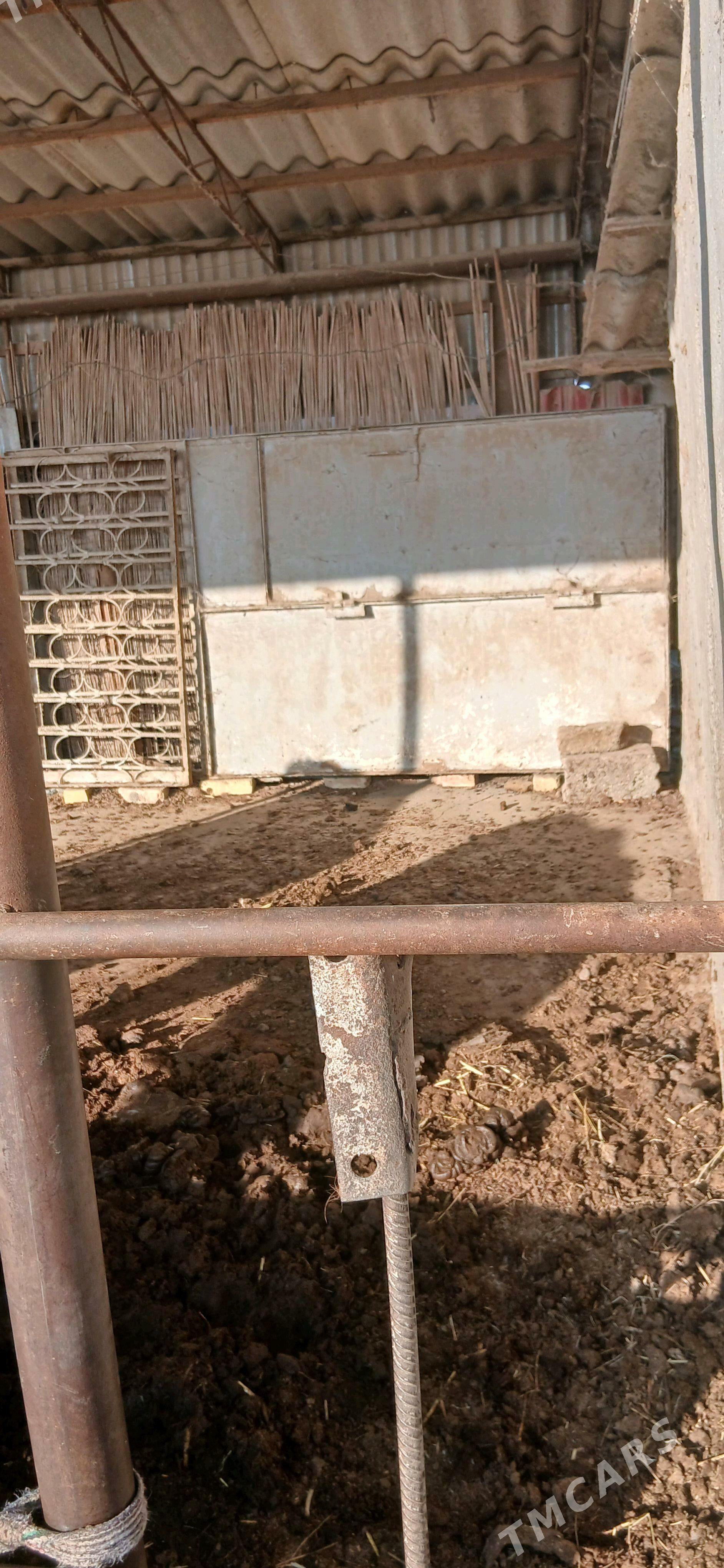 warata - Векильбазар - img 2