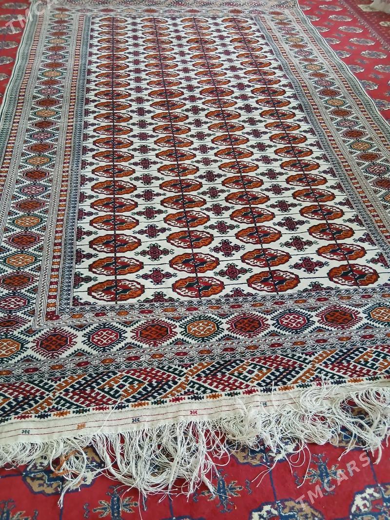 el haly 2/3 - Бахарден - img 3