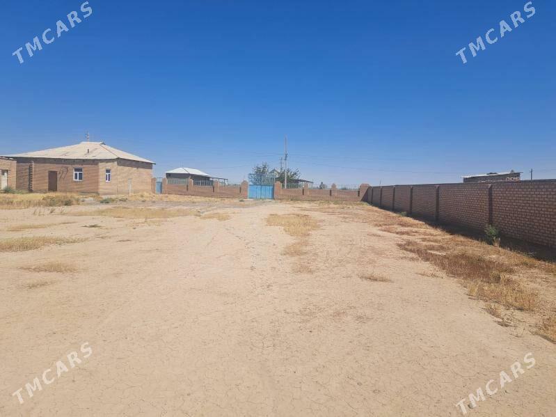 satlyk jay - Серахс - img 5