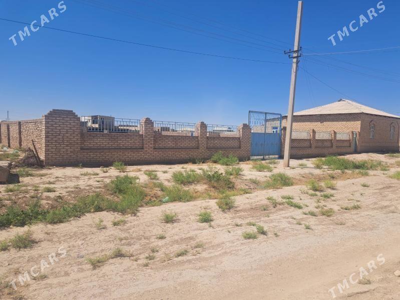 satlyk jay - Серахс - img 2