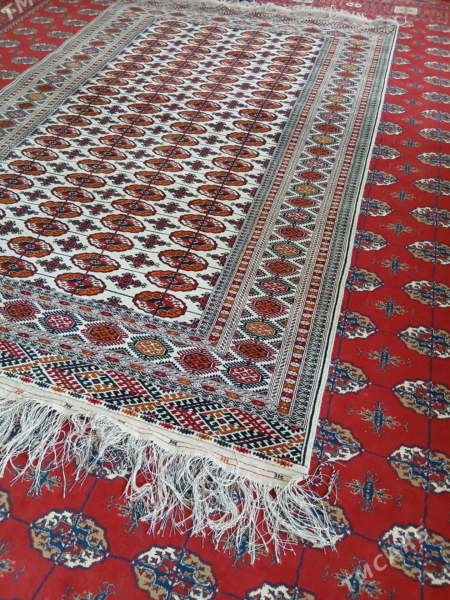 el haly 2/3 - Бахарден - img 2